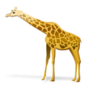 128x128 of giraffe