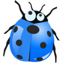 insect blue
