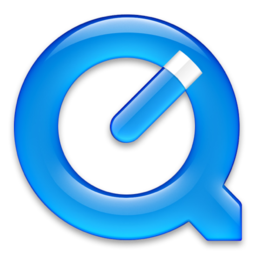 256x256 of QuickTime
