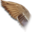 32x32 of Wing Duck