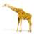 48x48 of giraffe