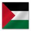 64x64 of Palestine flag