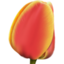 64x64 of tulip