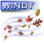 64x64 of Windy