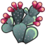 64x64 of cactus Prickly Pear