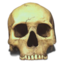 64x64 of Skull