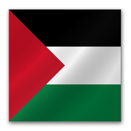 Full Size of Palestine flag