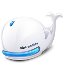 bluewhales 002