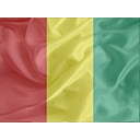 Regular Guinea