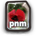 PNM