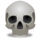 Full Size of Skull
