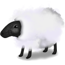 Full Size of Sheep