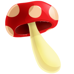 Full Size of Forest mushroom