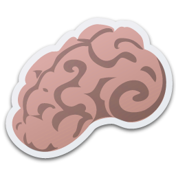 Full Size of Brain