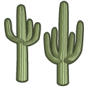 cactus Saguaro